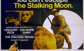 The Stalking Moon 1968 Full movie | Western movie 1968