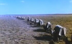 Savage Journey (1983) - Full length western movie